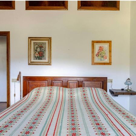 Divinae Cintoia Villa Greve in Chianti Bagian luar foto